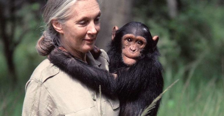 Jane Goodall – Actuar, ajudar, preocupar-se… Per salvar-ho